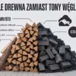 Ile drewna potrzeba, żeby zastąpić tonę węgla?