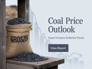 Czy ekogroszek stanieje w 2025 roku? Co naprawdę wpływa na spadki cen i kiedy kupować najtaniej?opalzgory+2